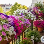 Петунії цвістимуть до осені: чим їх підживити без дорогих добрив
