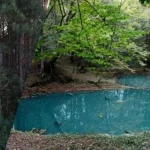 Бірюзова вода серед буків навіть узимку: де на Львівщині знайти три незвичайні озера
